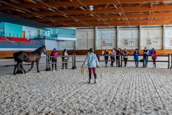 Fotogalería Escuela de Capacitación. Actividades Ecuestres 2025 17 Escuela de Captación Actividades Ecuestres 2025 - Héctor Criado