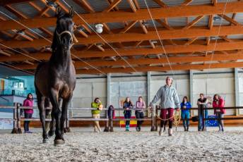 Fotogalería Escuela de Capacitación. Actividades Ecuestres 2025 18 Escuela de Captación Actividades Ecuestres 2025 - Héctor Criado