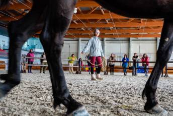 Fotogalería Escuela de Capacitación. Actividades Ecuestres 2025 19 Escuela de Captación Actividades Ecuestres 2025 - Héctor Criado