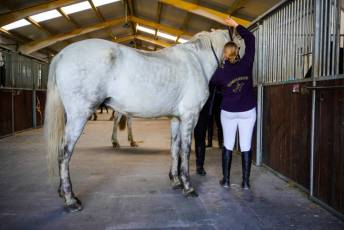 Fotogalería Escuela de Capacitación. Actividades Ecuestres 2025 3 Escuela de Captación Actividades Ecuestres 2025 - Héctor Criado