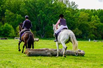 Fotogalería Escuela de Capacitación. Actividades Ecuestres 2025 30 Escuela de Captación Actividades Ecuestres 2025 - Héctor Criado