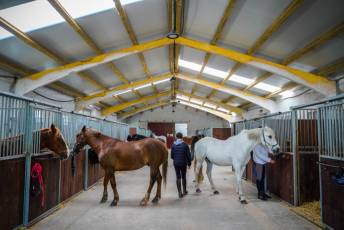 Fotogalería Escuela de Capacitación. Actividades Ecuestres 2025 4 Escuela de Captación Actividades Ecuestres 2025 - Héctor Criado