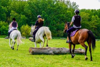 Fotogalería Escuela de Capacitación. Actividades Ecuestres 2025 31 Escuela de Captación Actividades Ecuestres 2025 - Héctor Criado