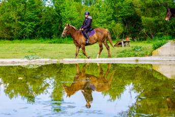 Fotogalería Escuela de Capacitación. Actividades Ecuestres 2025 35 Escuela de Captación Actividades Ecuestres 2025 - Héctor Criado