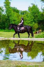 Fotogalería Escuela de Capacitación. Actividades Ecuestres 2025 34 Escuela de Captación Actividades Ecuestres 2025 - Héctor Criado