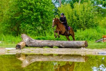 Fotogalería Escuela de Capacitación. Actividades Ecuestres 2025 33 Escuela de Captación Actividades Ecuestres 2025 - Héctor Criado
