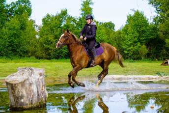 Fotogalería Escuela de Capacitación. Actividades Ecuestres 2025 37 Escuela de Captación Actividades Ecuestres 2025 - Héctor Criado
