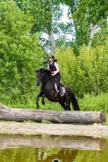 Fotogalería Escuela de Capacitación. Actividades Ecuestres 2025 38 Escuela de Captación Actividades Ecuestres 2025 - Héctor Criado