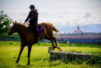 Fotogalería Escuela de Capacitación. Actividades Ecuestres 2025 40 Escuela de Captación Actividades Ecuestres 2025 - Héctor Criado