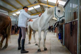 Fotogalería Escuela de Capacitación. Actividades Ecuestres 2025 5 Escuela de Captación Actividades Ecuestres 2025 - Héctor Criado