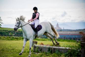 Fotogalería Escuela de Capacitación. Actividades Ecuestres 2025 46 Escuela de Captación Actividades Ecuestres 2025 - Héctor Criado