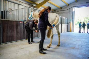 Fotogalería Escuela de Capacitación. Actividades Ecuestres 2025 6 Escuela de Captación Actividades Ecuestres 2025 - Héctor Criado