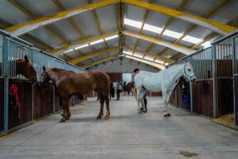 Fotogalería Escuela de Capacitación. Actividades Ecuestres 2025 9 Escuela de Captación Actividades Ecuestres 2025 - Héctor Criado