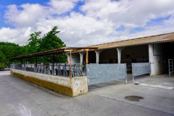 Fotogalería Escuela de Capacitación. Ganadería y Sanidad Animal 2025 12 Escuela de Captación Ganadería y Sanidad Animal 2025 - Héctor Criado