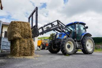 Fotogalería Escuela de Capacitación. Ganadería y Sanidad Animal 2025 13 Escuela de Captación Ganadería y Sanidad Animal 2025 - Héctor Criado