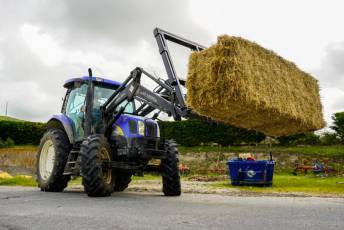Fotogalería Escuela de Capacitación. Ganadería y Sanidad Animal 2025 14 Escuela de Captación Ganadería y Sanidad Animal 2025 - Héctor Criado