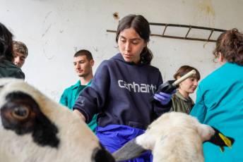 Fotogalería Escuela de Capacitación. Ganadería y Sanidad Animal 2025 22 Escuela de Captación Ganadería y Sanidad Animal 2025 - Héctor Criado