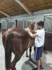 Fotogalería Escuela de Capacitación. Medio Natural y Tiempo Libre 2025 53 Escuela de Captación Medio Natural Y Tiempo Libre 2025