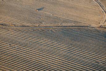 Fotogalería Festival de Globos Aerostáticos de Segovia 29 Festival de Globos Aerostáticos de Segovia - Héctor Criado