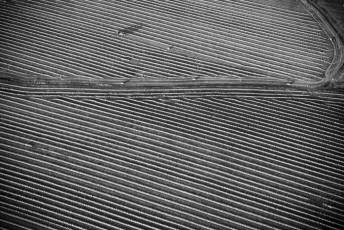 Fotogalería Festival de Globos Aerostáticos de Segovia 30 Festival de Globos Aerostáticos de Segovia - Héctor Criado