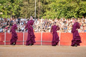 Fotogalería Concurso de recortes, saltos y quiebros en la plaza de toros de San Lorenzo 14 Concurso Recortes Saltos y Quiebros San Lorenzo - Héctor Criado