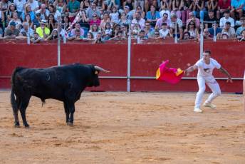 Fotogalería Concurso de recortes, saltos y quiebros en la plaza de toros de San Lorenzo 29 Concurso Recortes Saltos y Quiebros San Lorenzo - Héctor Criado