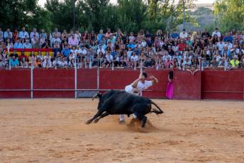 Fotogalería Concurso de recortes, saltos y quiebros en la plaza de toros de San Lorenzo 89 Concurso Recortes Saltos y Quiebros San Lorenzo - Héctor Criado