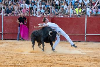 Fotogalería Concurso de recortes, saltos y quiebros en la plaza de toros de San Lorenzo 30 Concurso Recortes Saltos y Quiebros San Lorenzo - Héctor Criado