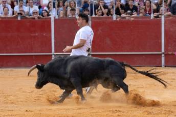 Fotogalería Concurso de recortes, saltos y quiebros en la plaza de toros de San Lorenzo 31 Concurso Recortes Saltos y Quiebros San Lorenzo - Héctor Criado