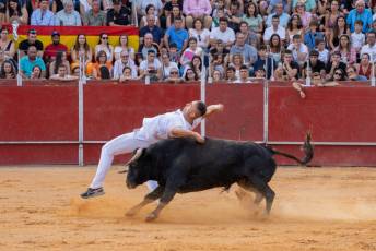 Fotogalería Concurso de recortes, saltos y quiebros en la plaza de toros de San Lorenzo 32 Concurso Recortes Saltos y Quiebros San Lorenzo - Héctor Criado