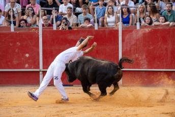 Fotogalería Concurso de recortes, saltos y quiebros en la plaza de toros de San Lorenzo 34 Concurso Recortes Saltos y Quiebros San Lorenzo - Héctor Criado