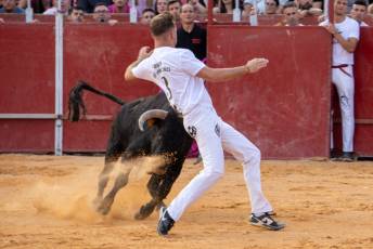 Fotogalería Concurso de recortes, saltos y quiebros en la plaza de toros de San Lorenzo 90 Concurso Recortes Saltos y Quiebros San Lorenzo - Héctor Criado