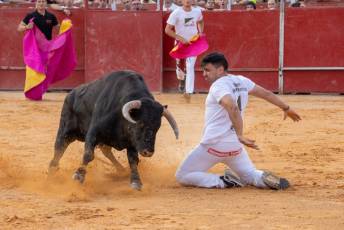 Fotogalería Concurso de recortes, saltos y quiebros en la plaza de toros de San Lorenzo 36 Concurso Recortes Saltos y Quiebros San Lorenzo - Héctor Criado