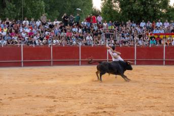 Fotogalería Concurso de recortes, saltos y quiebros en la plaza de toros de San Lorenzo 38 Concurso Recortes Saltos y Quiebros San Lorenzo - Héctor Criado