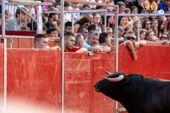 Fotogalería Concurso de recortes, saltos y quiebros en la plaza de toros de San Lorenzo 40 Concurso Recortes Saltos y Quiebros San Lorenzo - Héctor Criado