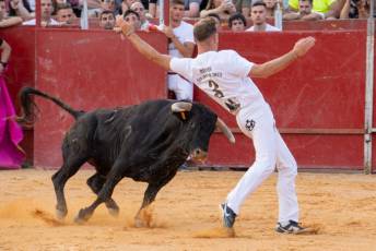 Fotogalería Concurso de recortes, saltos y quiebros en la plaza de toros de San Lorenzo 42 Concurso Recortes Saltos y Quiebros San Lorenzo - Héctor Criado