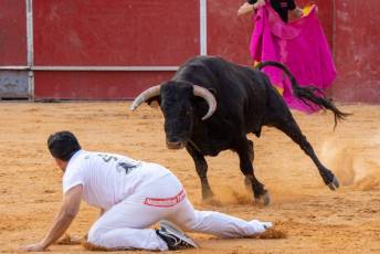 Fotogalería Concurso de recortes, saltos y quiebros en la plaza de toros de San Lorenzo 44 Concurso Recortes Saltos y Quiebros San Lorenzo - Héctor Criado
