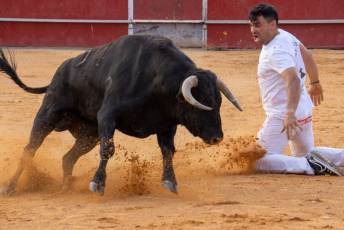 Fotogalería Concurso de recortes, saltos y quiebros en la plaza de toros de San Lorenzo 45 Concurso Recortes Saltos y Quiebros San Lorenzo - Héctor Criado