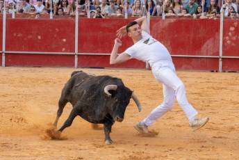 Fotogalería Concurso de recortes, saltos y quiebros en la plaza de toros de San Lorenzo 92 Concurso Recortes Saltos y Quiebros San Lorenzo - Héctor Criado