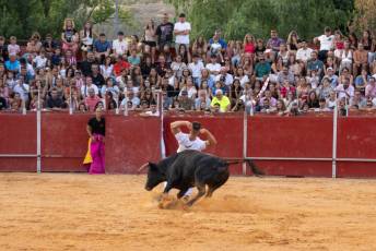 Fotogalería Concurso de recortes, saltos y quiebros en la plaza de toros de San Lorenzo 46 Concurso Recortes Saltos y Quiebros San Lorenzo - Héctor Criado