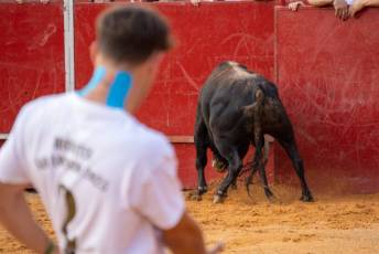 Fotogalería Concurso de recortes, saltos y quiebros en la plaza de toros de San Lorenzo 47 Concurso Recortes Saltos y Quiebros San Lorenzo - Héctor Criado