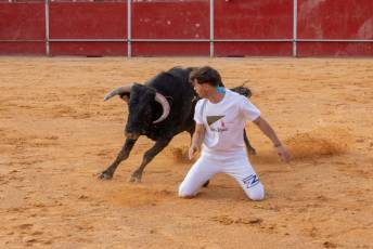 Fotogalería Concurso de recortes, saltos y quiebros en la plaza de toros de San Lorenzo 48 Concurso Recortes Saltos y Quiebros San Lorenzo - Héctor Criado