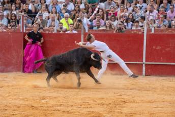 Fotogalería Concurso de recortes, saltos y quiebros en la plaza de toros de San Lorenzo 50 Concurso Recortes Saltos y Quiebros San Lorenzo - Héctor Criado
