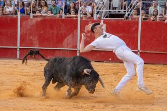 Fotogalería Concurso de recortes, saltos y quiebros en la plaza de toros de San Lorenzo 51 Concurso Recortes Saltos y Quiebros San Lorenzo - Héctor Criado