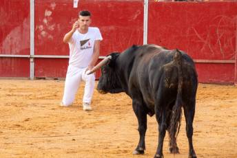 Fotogalería Concurso de recortes, saltos y quiebros en la plaza de toros de San Lorenzo 52 Concurso Recortes Saltos y Quiebros San Lorenzo - Héctor Criado