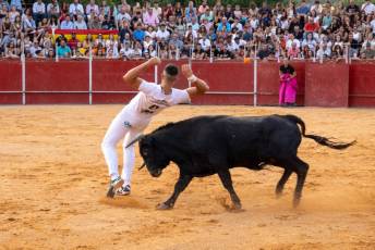 Fotogalería Concurso de recortes, saltos y quiebros en la plaza de toros de San Lorenzo 55 Concurso Recortes Saltos y Quiebros San Lorenzo - Héctor Criado