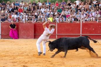 Fotogalería Concurso de recortes, saltos y quiebros en la plaza de toros de San Lorenzo 57 Concurso Recortes Saltos y Quiebros San Lorenzo - Héctor Criado