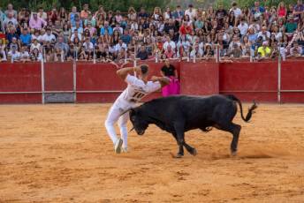 Fotogalería Concurso de recortes, saltos y quiebros en la plaza de toros de San Lorenzo 61 Concurso Recortes Saltos y Quiebros San Lorenzo - Héctor Criado