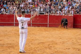 Fotogalería Concurso de recortes, saltos y quiebros en la plaza de toros de San Lorenzo 64 Concurso Recortes Saltos y Quiebros San Lorenzo - Héctor Criado