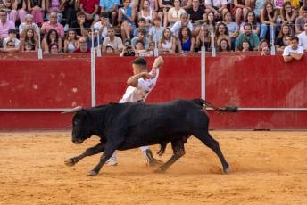 Fotogalería Concurso de recortes, saltos y quiebros en la plaza de toros de San Lorenzo 65 Concurso Recortes Saltos y Quiebros San Lorenzo - Héctor Criado